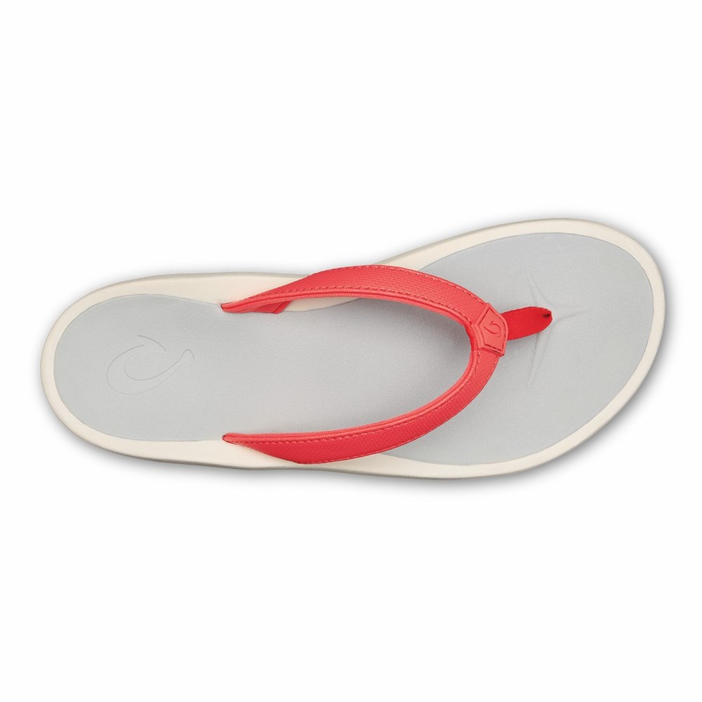 Coral / White Grey OluKai Pī‘oe Women's Sandals | 63870-OXCI