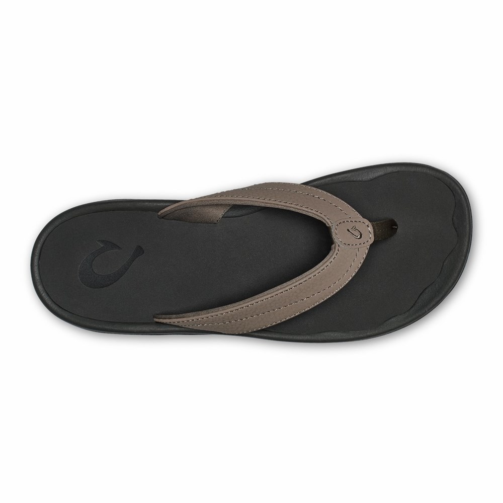 Grey Brown / Light Blue OluKai ‘Ohana Women's Sandals | 86593-ALQR