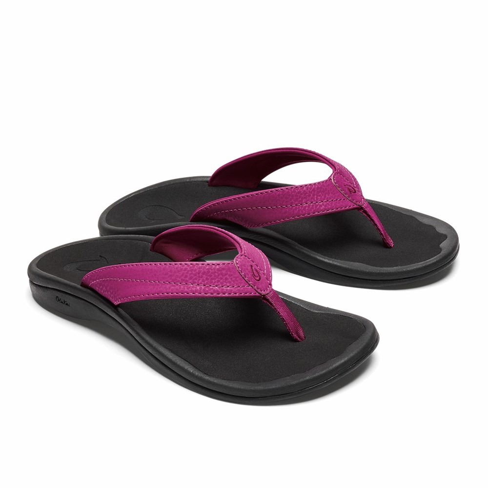 Purple Flower / Black OluKai ‘Ohana Women's Sandals | 78251-UIBE